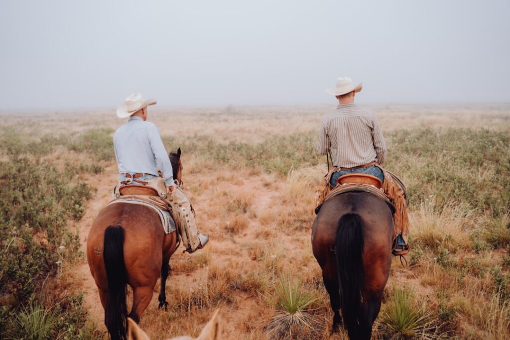 Photo Cowboys, horses